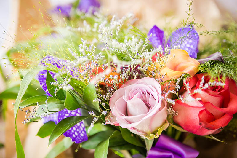 Heidi Francis arrangements